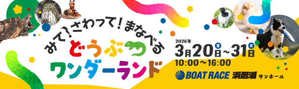 どうぶつワンダーランド